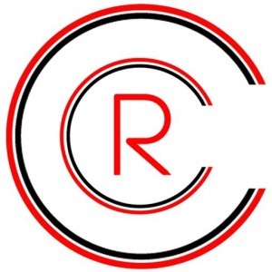 culture consulting research logo rund